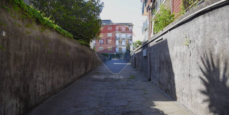 20250423214312-939699-18