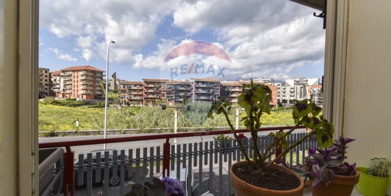 2025042494923-945306-8