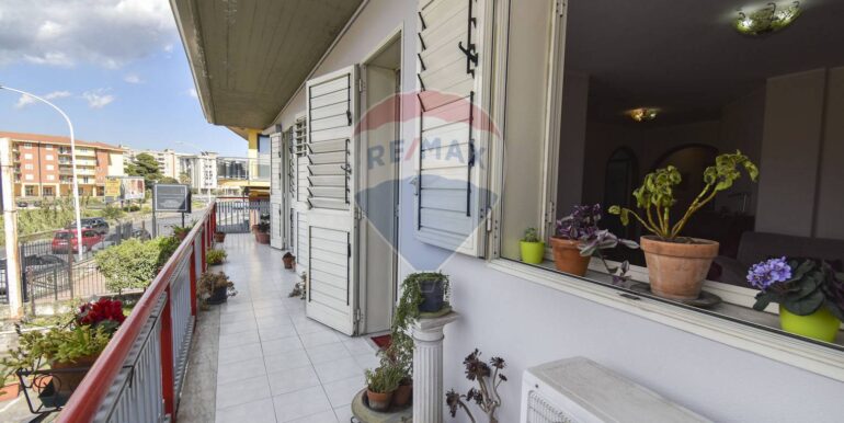 2025042494926-945306-11