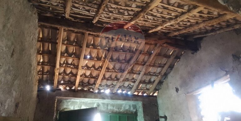 20250427120132-945529-7