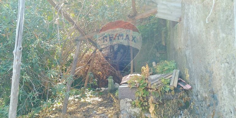 20250427120137-945529-8