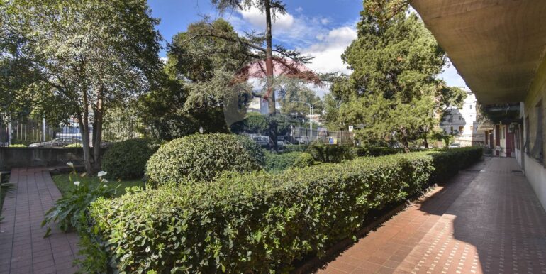 20250429114524-945789-5