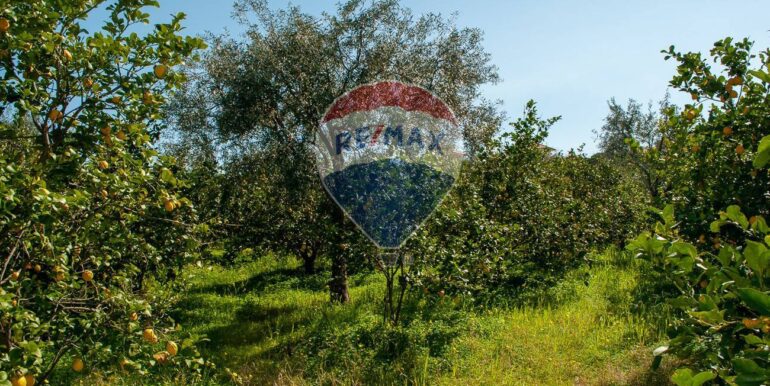 20250430175509-946205-1