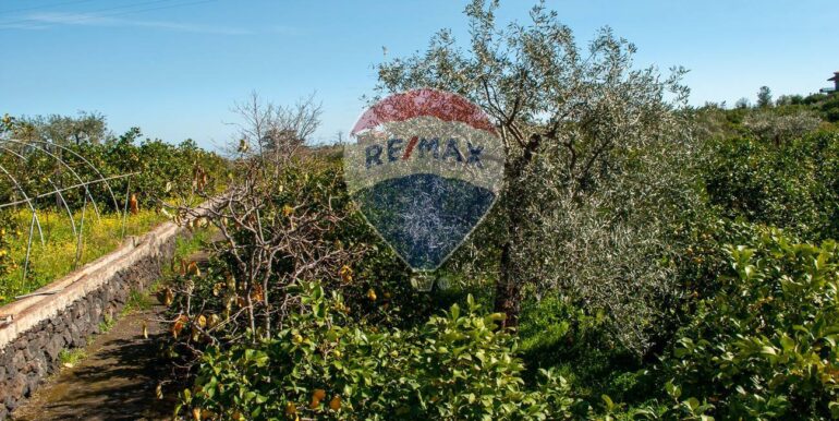 20250430175514-946205-5