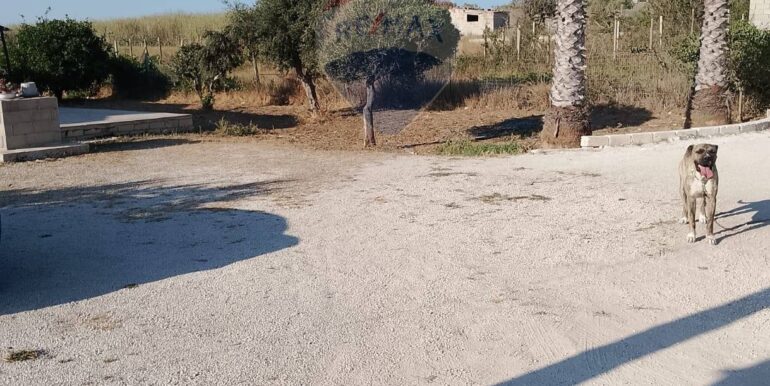 20250502103108-946288-4