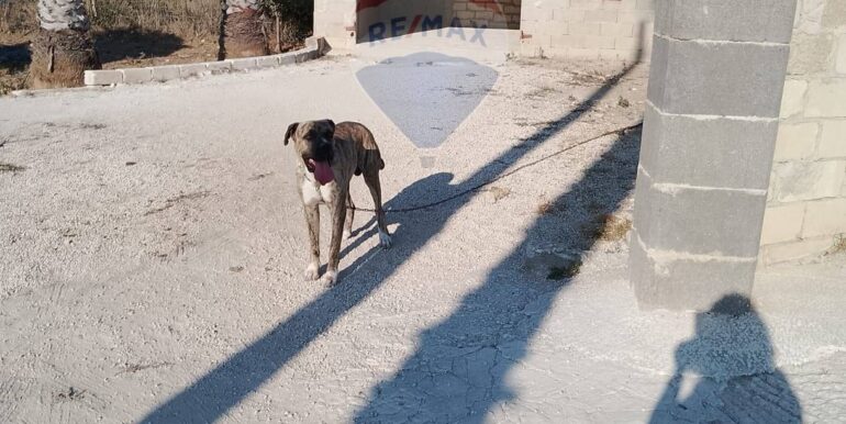 20250502103112-946288-6