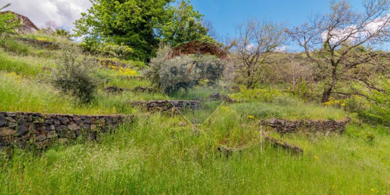 20250506174211-947176-2