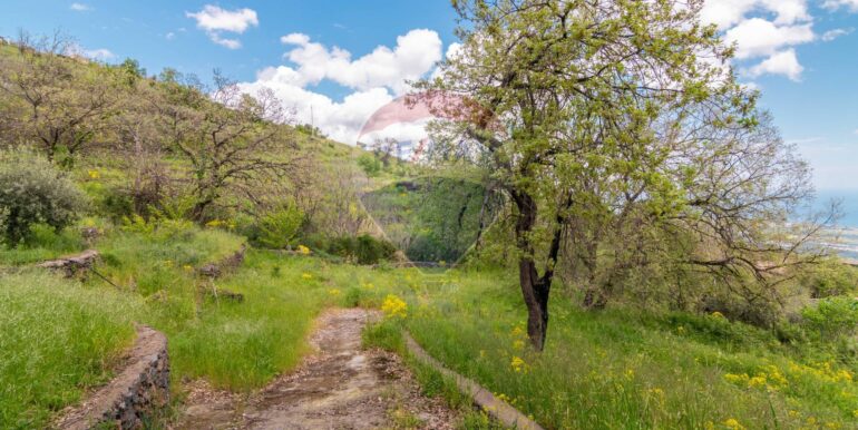 20250506174224-947176-7