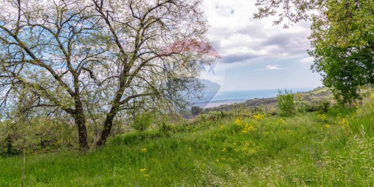 20250506174226-947176-8