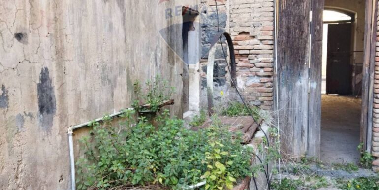 20250510123110-947920-6