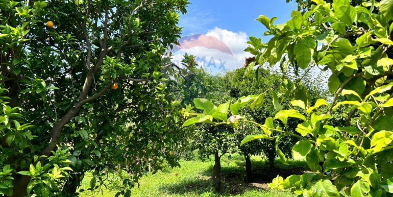 20250514151237-948603-1