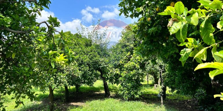 20250514151240-948603-2