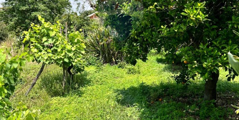 20250514151250-948603-5