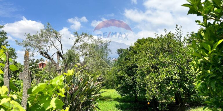 20250514151255-948603-7