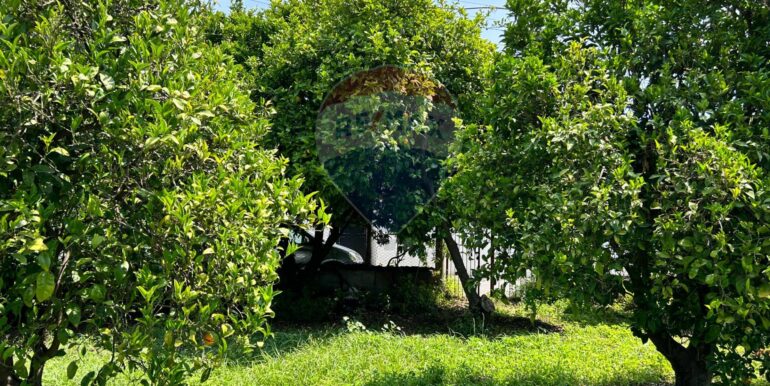 20250514151258-948603-8