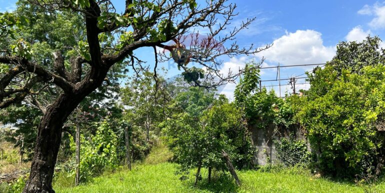 20250514151304-948603-10