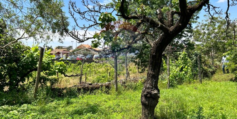 20250514151307-948603-11