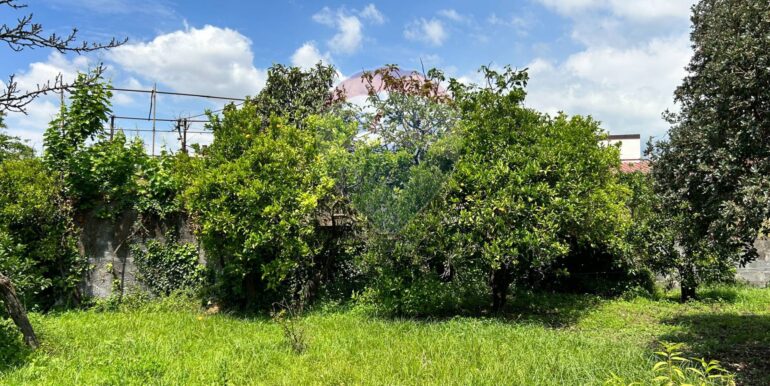 20250514151311-948603-12