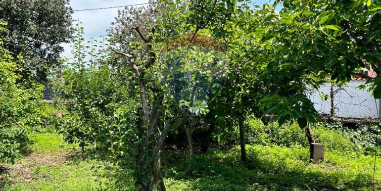 20250514151313-948603-13