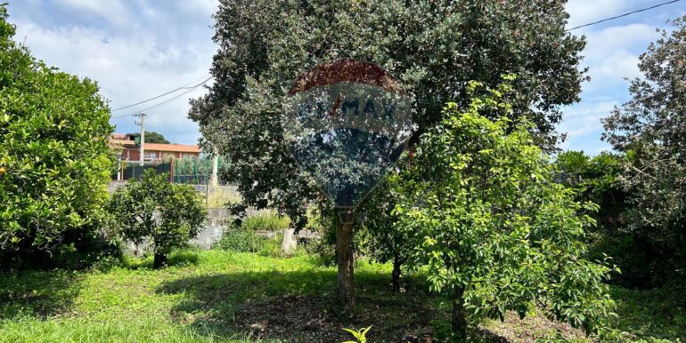 20250514151317-948603-14