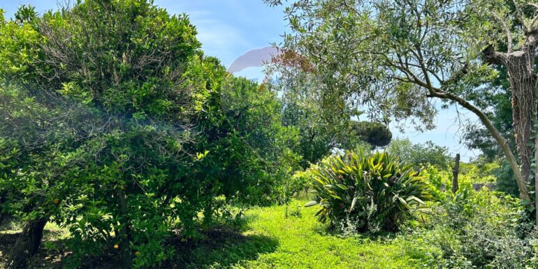 20250514151323-948603-16