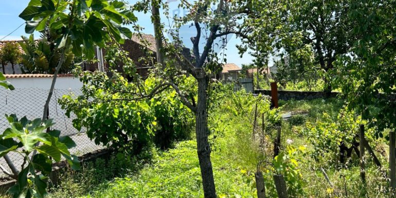 20250514151332-948603-19