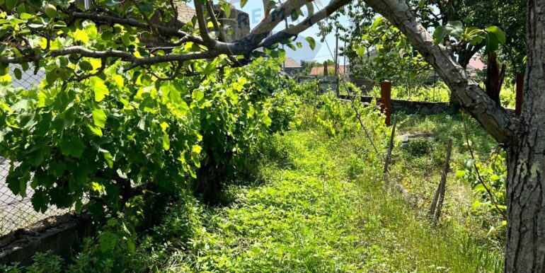 20250514151335-948603-20