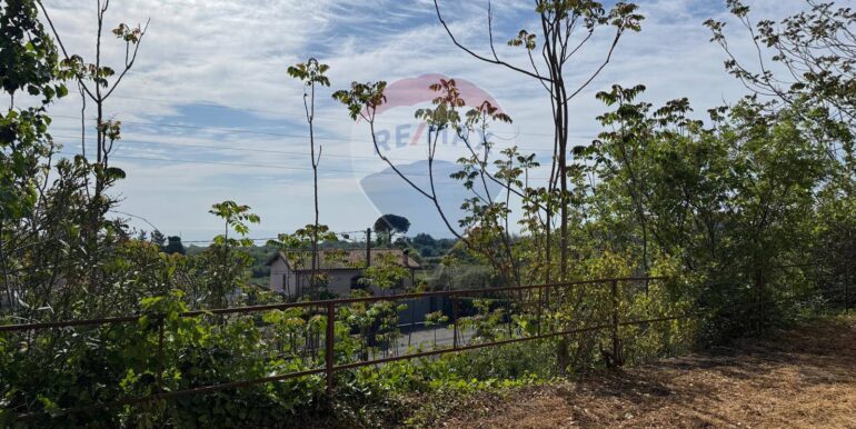 20250516105157-949434-8