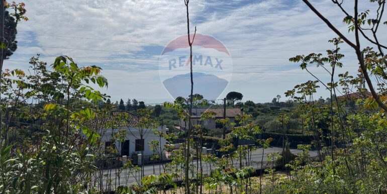 20250516105159-949434-9