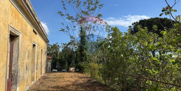 20250516105201-949434-10