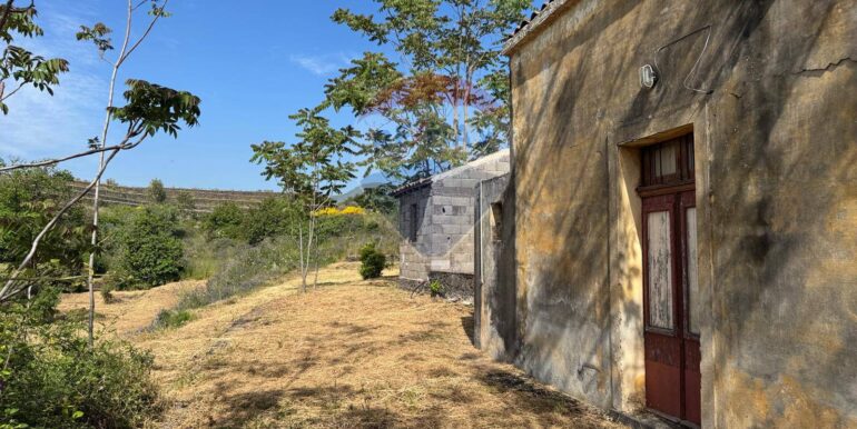 20250516105204-949434-12