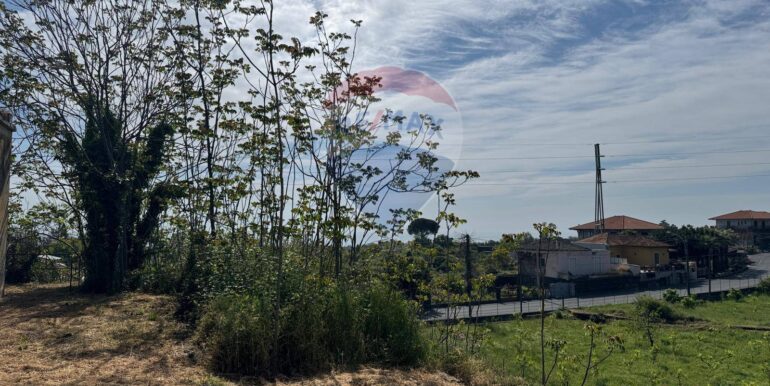 20250516105206-949434-13