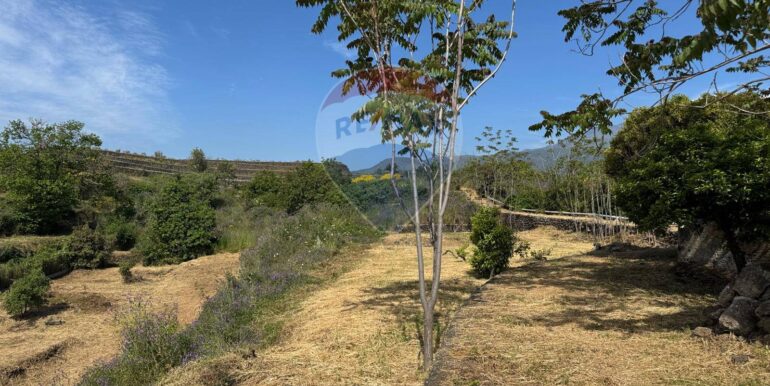 20250516105211-949434-16