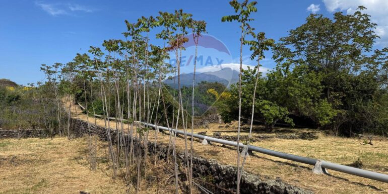 20250516105218-949434-20