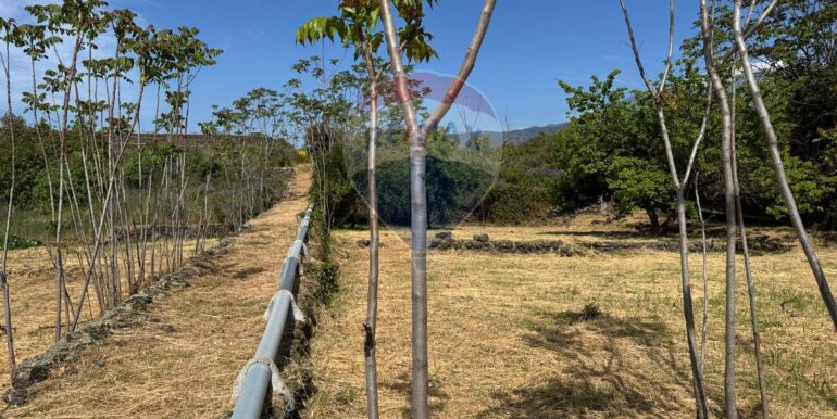 20250516105220-949434-21