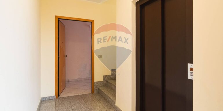 2025052094950-949496-2