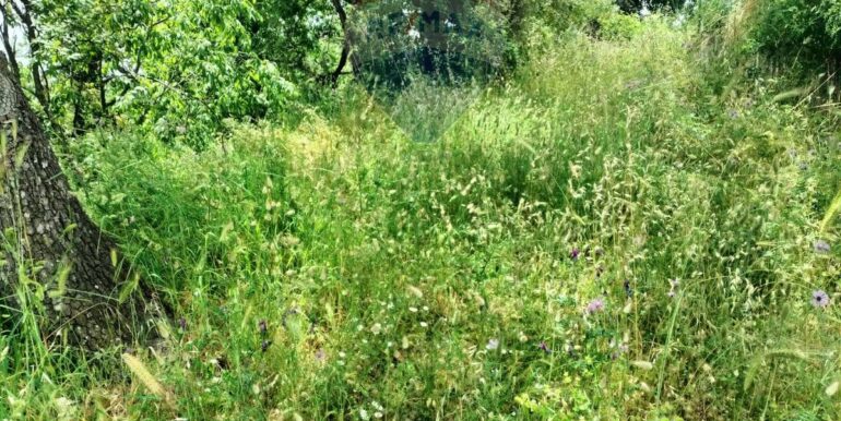 20250521195136-950648-2