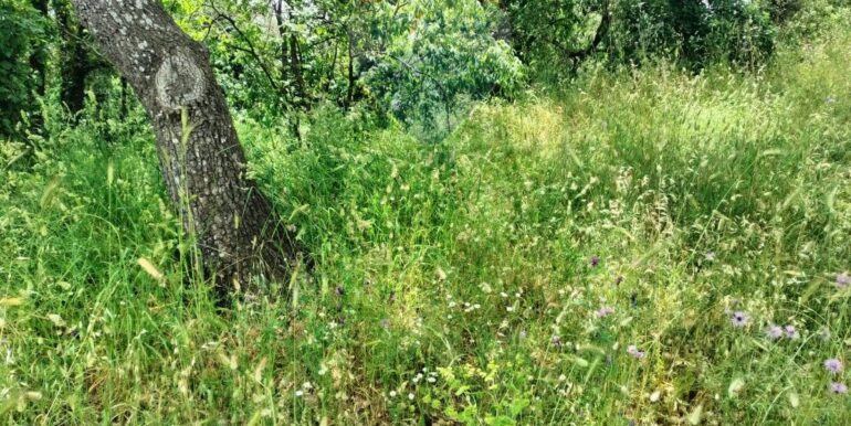 20250521195139-950648-3