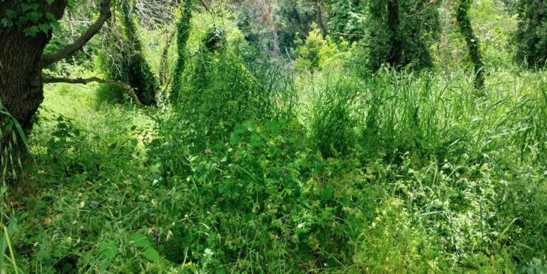 20250521195141-950648-4