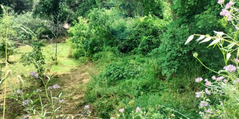 20250521195144-950648-5