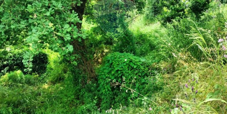 20250521195146-950648-6