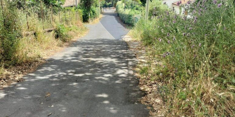 20250521195149-950648-7