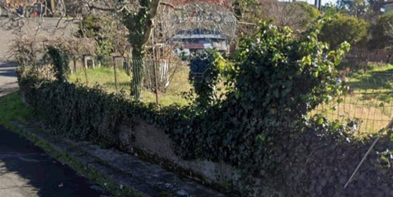 2025052392941-951128-1