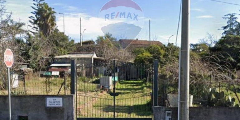 2025052392942-951128-2