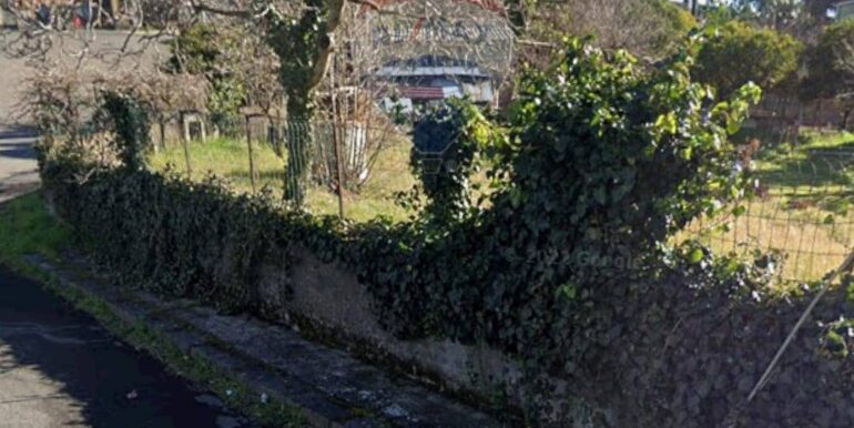 2025052392943-951128-3