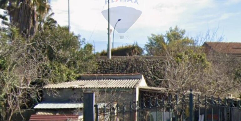 2025052392944-951128-4