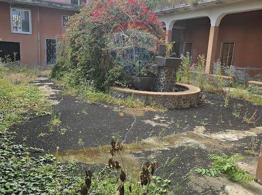 20250526114415-951547-1