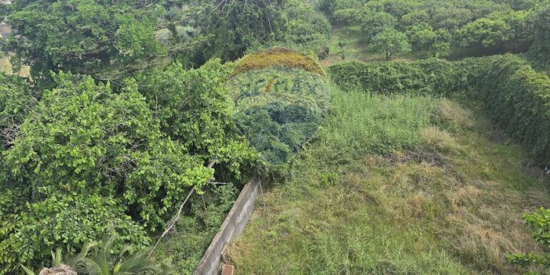 20250526114418-951547-5