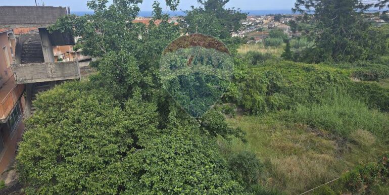 20250526114419-951547-6