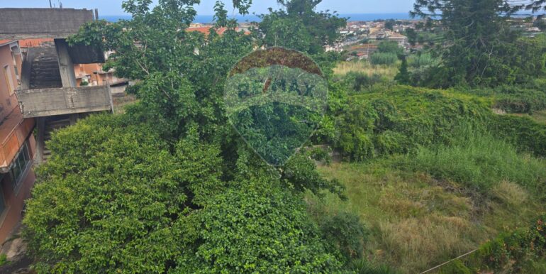 20250526121304-951547-24